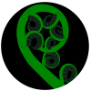 Koru Scenic Tours